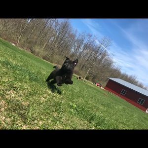 Meet your Posher, Hazel